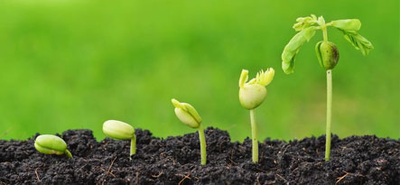 Projects-Industry-Agriculture Projects-Industry-Agriculture
