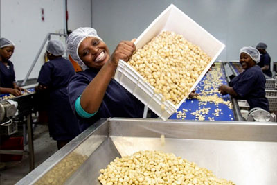 Industry-Agriculture-Processing Industry-Agriculture-Processing