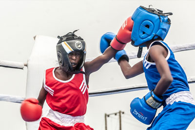SF-Sports-Boxing SF-Sports-Boxing