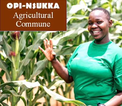 Organizations-Opi-Nsukka-Agricultural-Commune Organizations-Opi-Nsukka-Agricultural-Commune